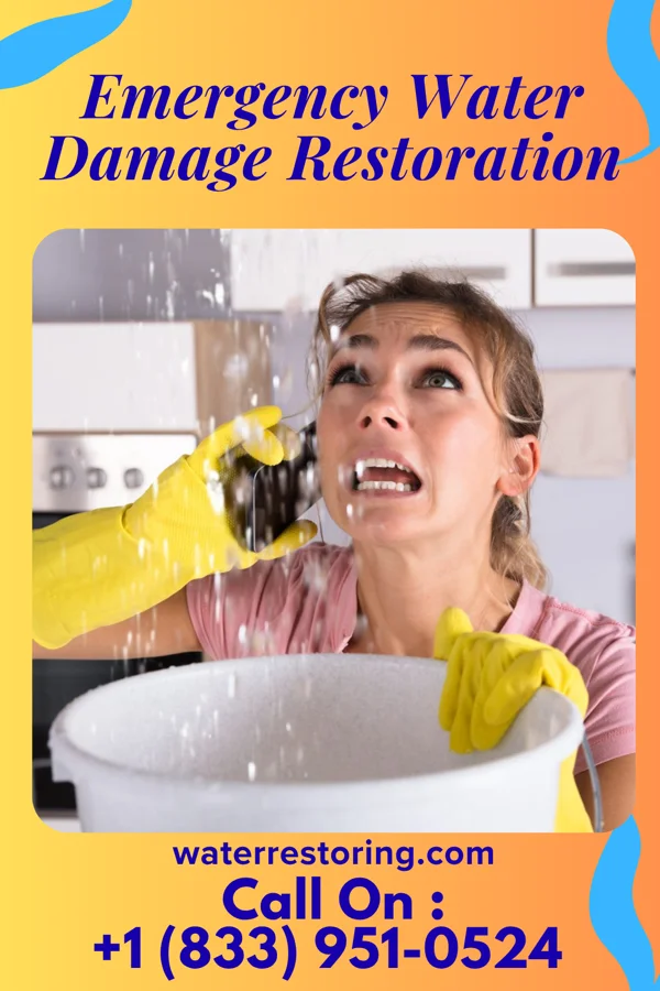 Emergency Water Damage Restoration in Fults, IL
