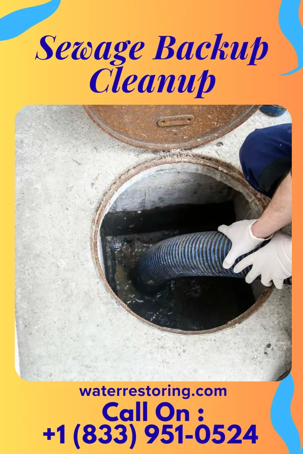 Sewage Backup Cleanup in Fults, IL